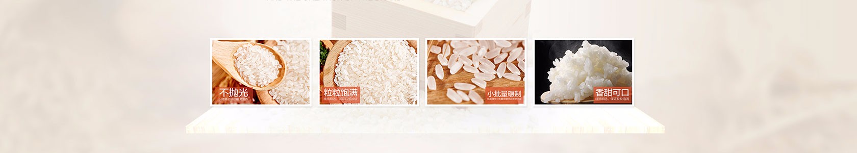 廊坊市星辰软件有限公司